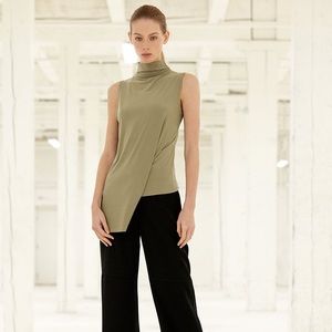 Aritzia Babaton 101 Frederica top